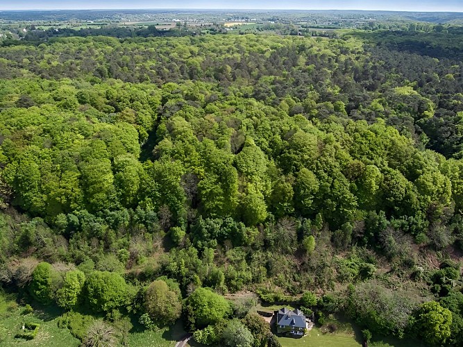 Bois du Breuil Calvados (2)