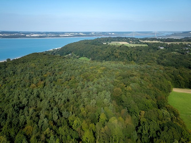 Bois du Breuil Calvados (3)