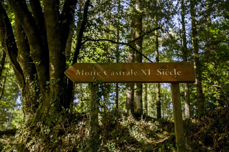 Motte féodale
