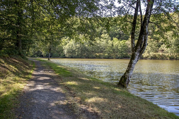 Forêt de Saint-Sever