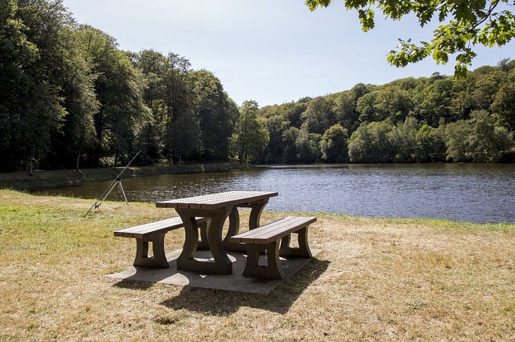 Etang du vieux château