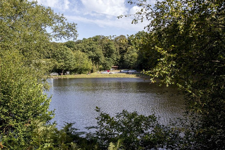 20200805_OT_PaysdeVire_LMACH_Forêt_Saint-Sever-12