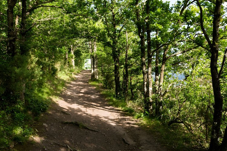 Sentier de randonnée aux rochers des Parcs.