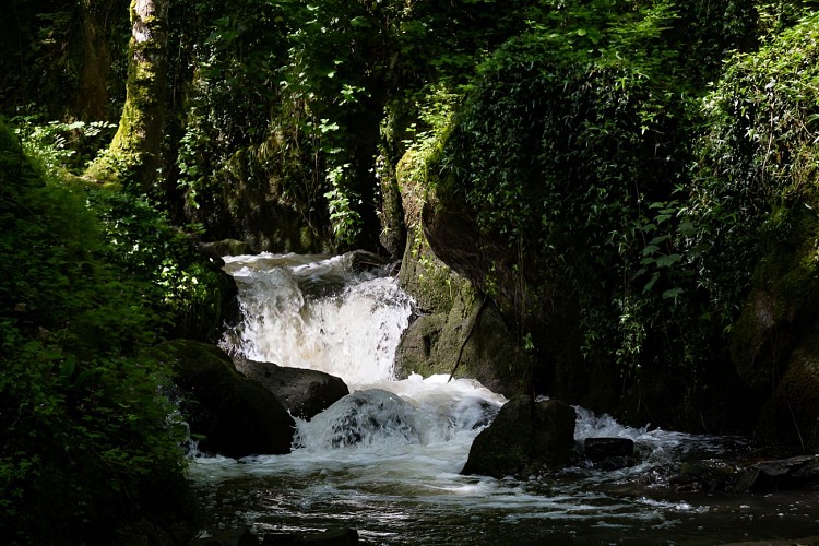Le cours d'eau du Laizon à la brèche au Diable. / © Thierry Houyel