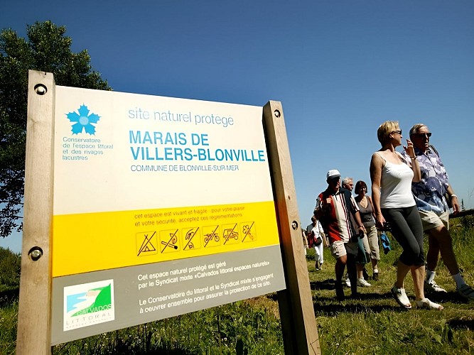 Balade marais 09 - Copie