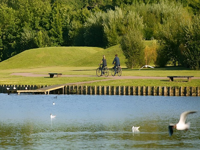 Marais de Villers Blonville - G (3)