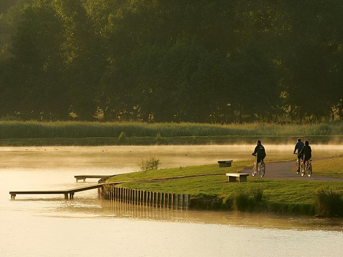 Marais de Villers Blonville - G (2)