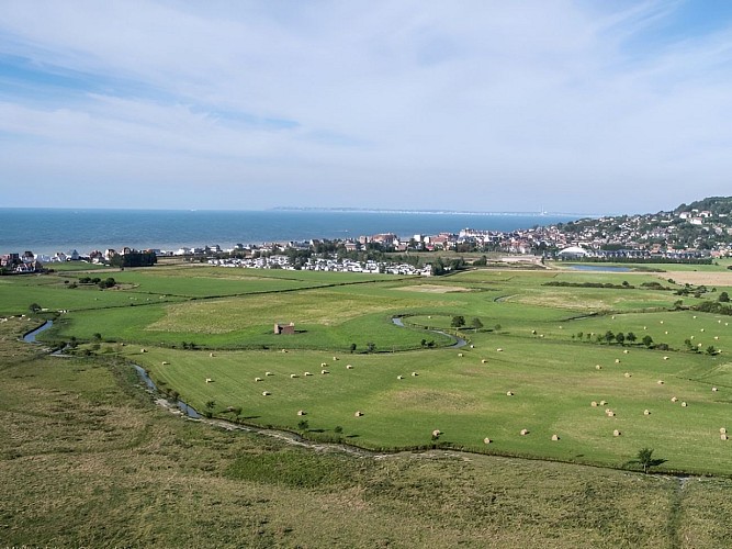 Le marais de Blonville-Villers