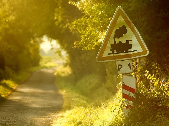 Marais de Villers Blonville - G (4)