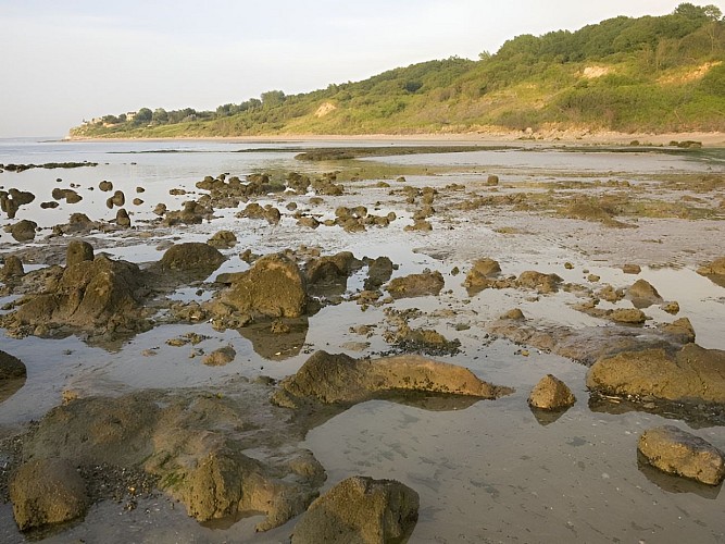 Les falaises des Roches Noires - pointe du Heurt