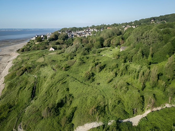 Les Falaises des Roches Noires en Normandie