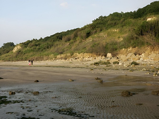 Promenade sur la plage