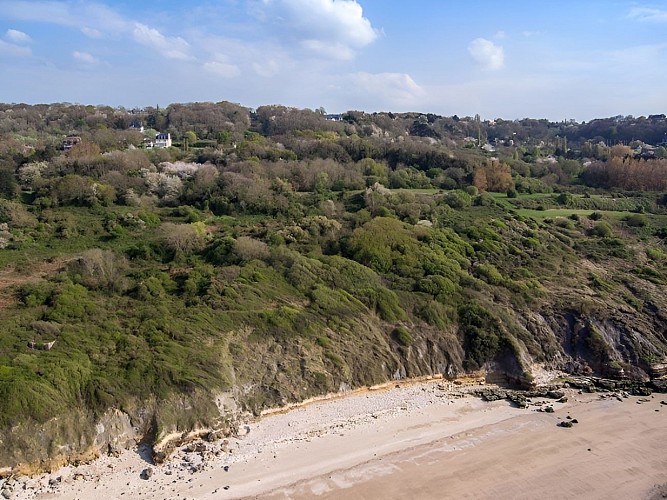 Falaises-Roches-Noires