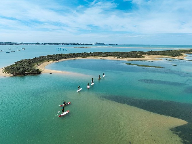 Stand up paddle en baie de l'Orne à Merville-Franceville-Plage 
