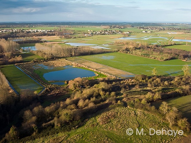 Marais Rebehomme 