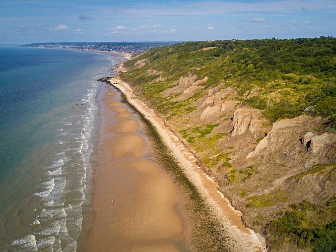 Falaises des Vaches Noires