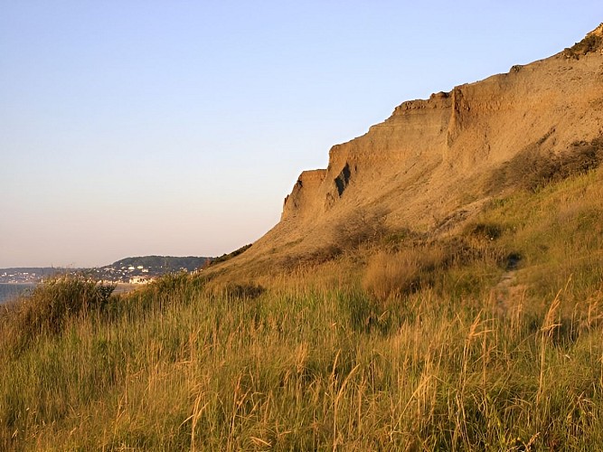 Pierre Querron© (3)