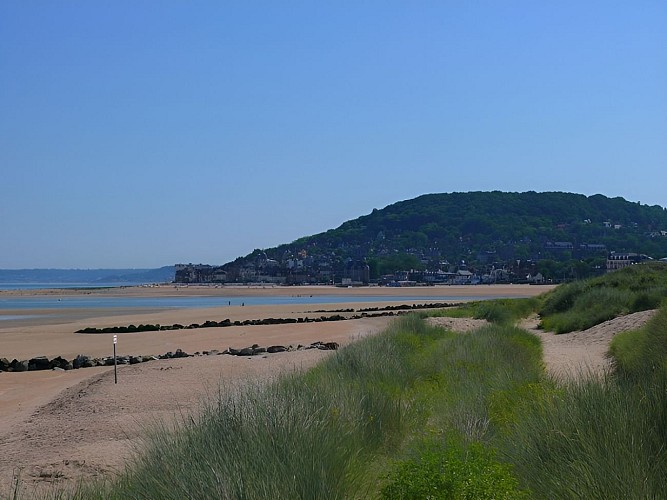 Les falaises des Vaches Noires