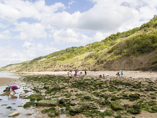 Au pied des falaises des Vaches Noires