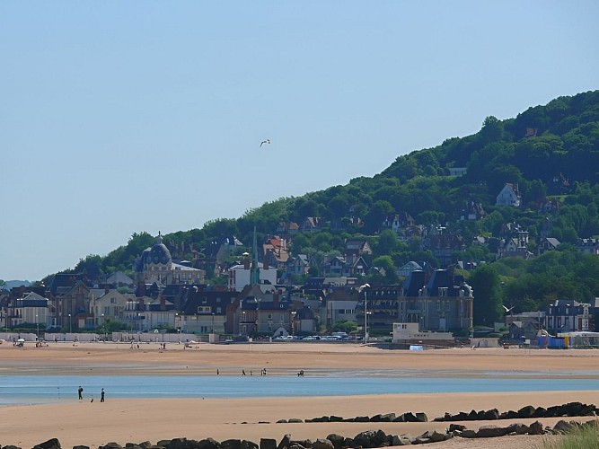 Les falaises des Vaches Noires