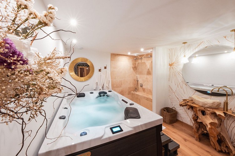 solognetourisme-romorantin-gite-viensons'aime-espace spa