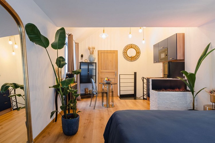 solognetourisme-romorantin-gite-viensons'aime