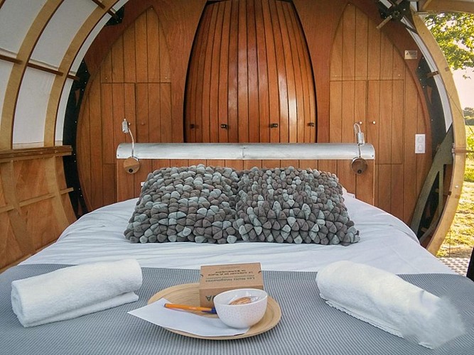 LE CABALLON DE M. PLOCQ