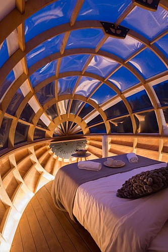 LE CABALLON DE M. PLOCQ