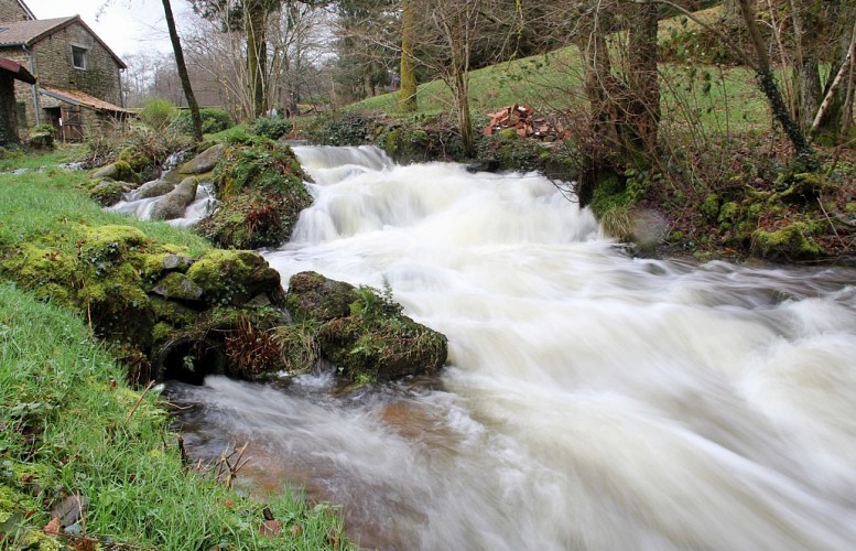Circuit des Monts du Limousin - La Couze Saint-Léger-la-Montagne