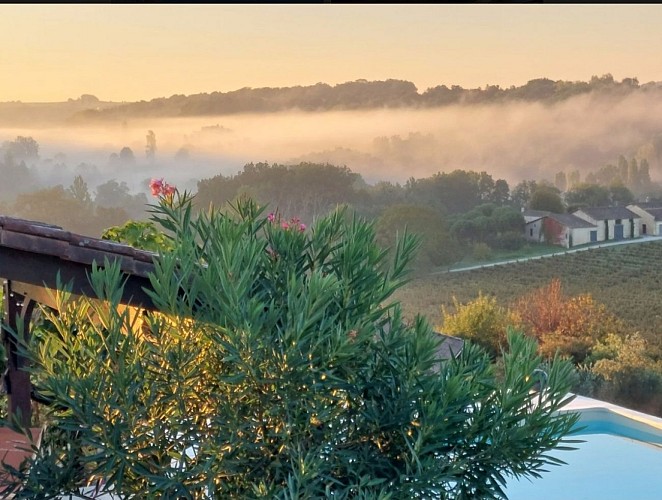 Screenshot_20231218_101532_Chrome~2 (1)