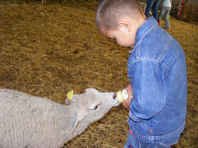 L'Arche de Noë - Ferme pédagogique