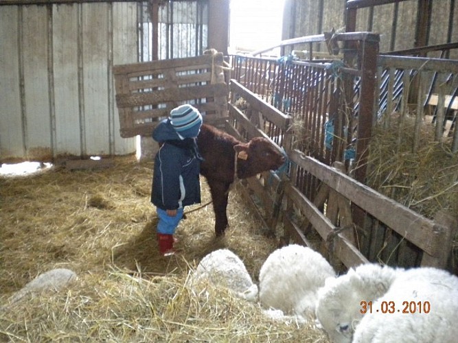 L'Arche de Noë - Ferme pédagogique