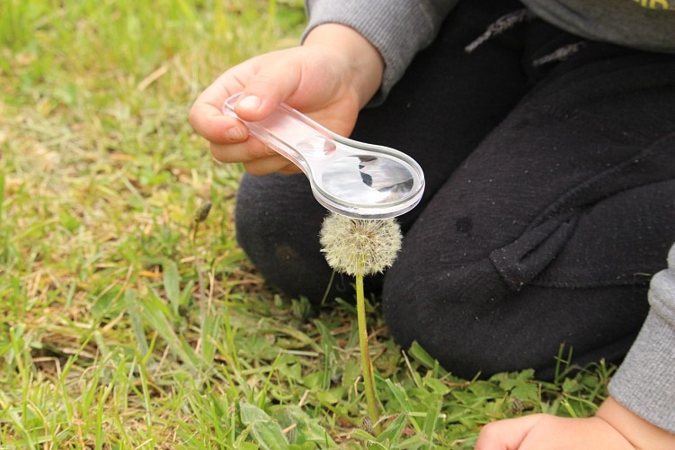 Expert Nature des Combrailles - Étang de Chancelade