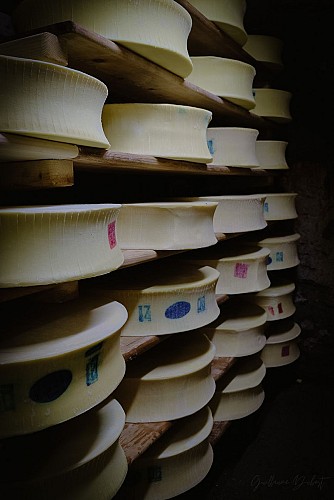 Alpage de Ritord (Ritord Alpine Pastures)