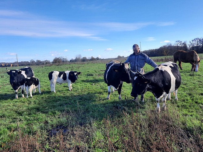 Les Coquelicots Rocheservière