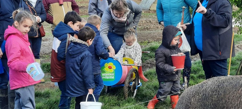 Les Coquelicots Rocheservière