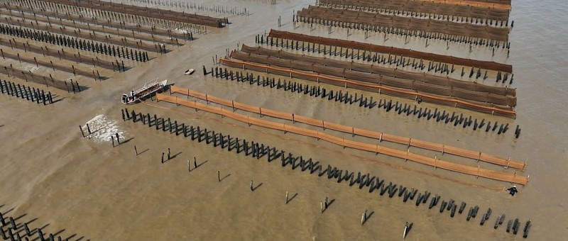 ISTREG Conchyliculteurs