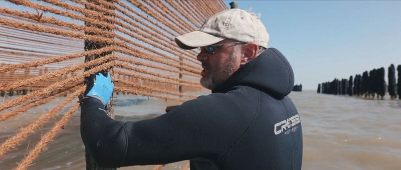 ISTREG Conchyliculteurs