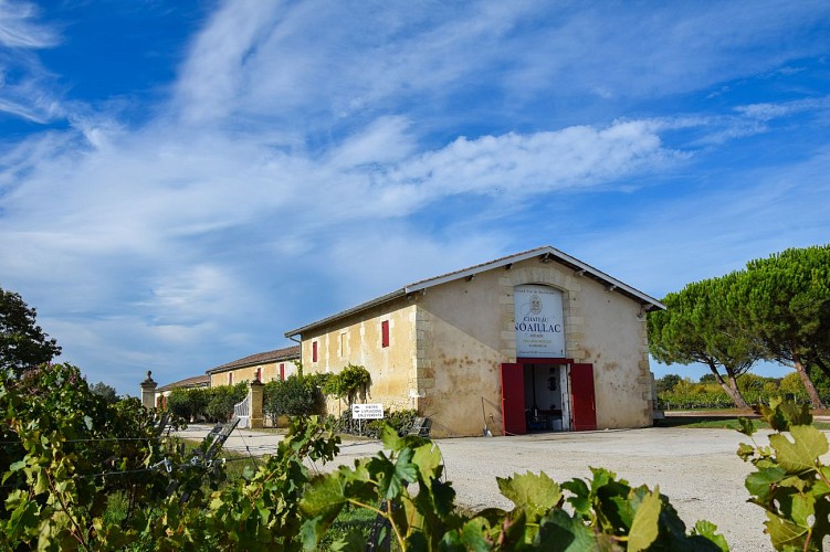 DSC_1079 - Château Noaillac