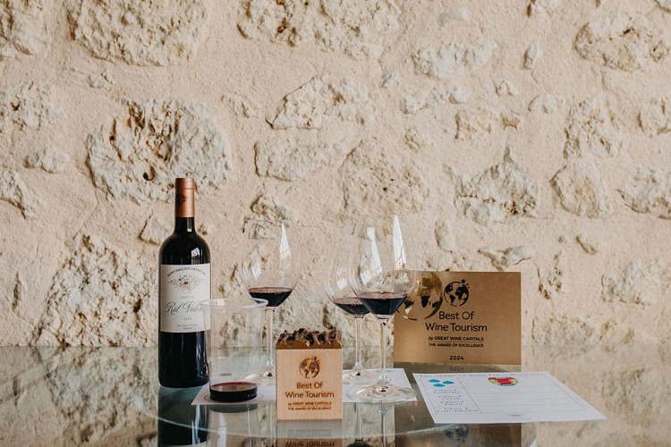 ©MySweetMadeleine-Photographe-VignolesRobin-2023(68)