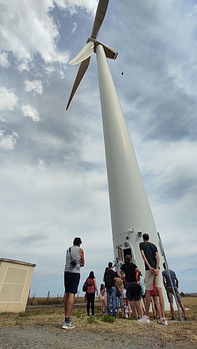 Visite découverte du parc éolien d’Assac