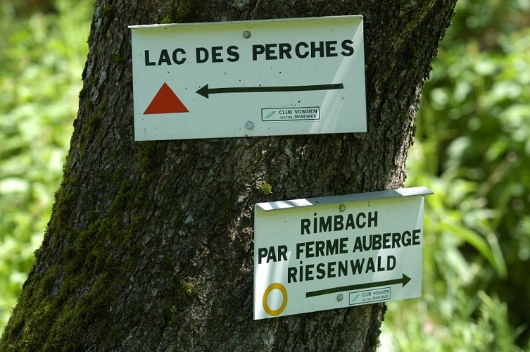 Circuit de randonnée