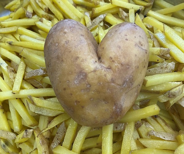 Food Truck - Le magamari