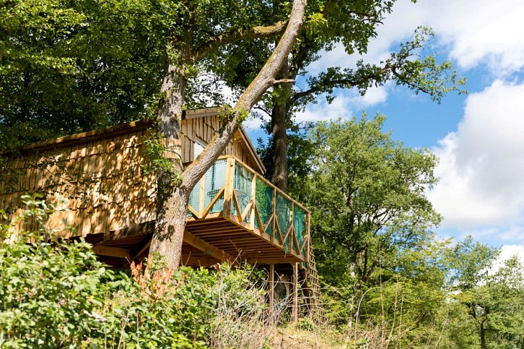 Hanging hut Robin des bois