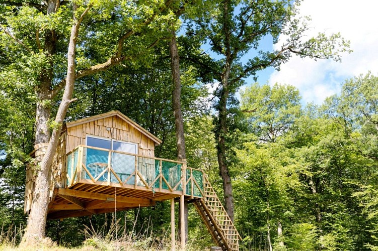 Cabane suspendue Robin des bois