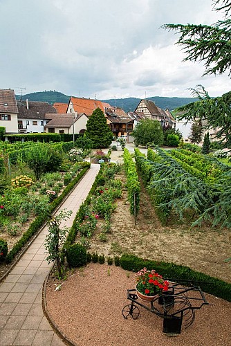 Chambres d'hôtes - Albert HERTZ