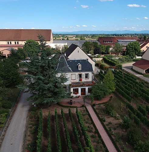 Chambres d'hôtes - Albert HERTZ