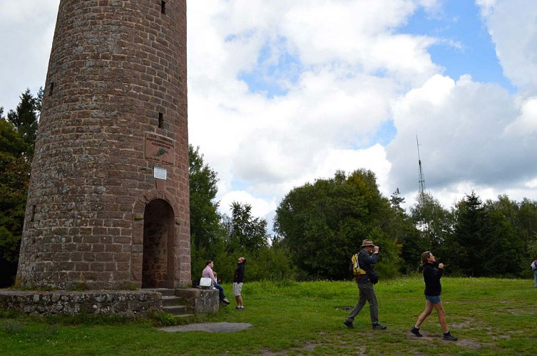 Tour panoramique du Grand Wintersberg, Niederbronn-les-Bains, Alsace