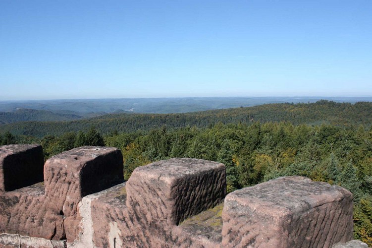 Vue à 360°, Vosges du Nord, Niederbronn-les-Bains, Alsace