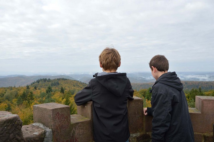 Vue sur les Vosges du Nord, Niederbronn-les-Bains, Alsace